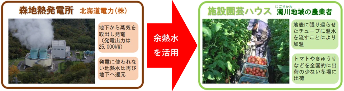 【北海道限定】北海道森町の岡嶋康輔町長も太鼓判！北海道森町産のトマトを使用した商品を6月26日（木）より販売 画像 6