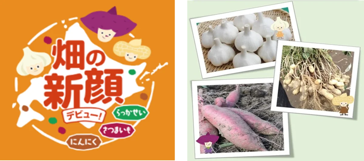 【北海道限定】「畑の新顔作物」である北海道産さつまいもを使用したスイーツを6月25日（水）より販売 画像 3