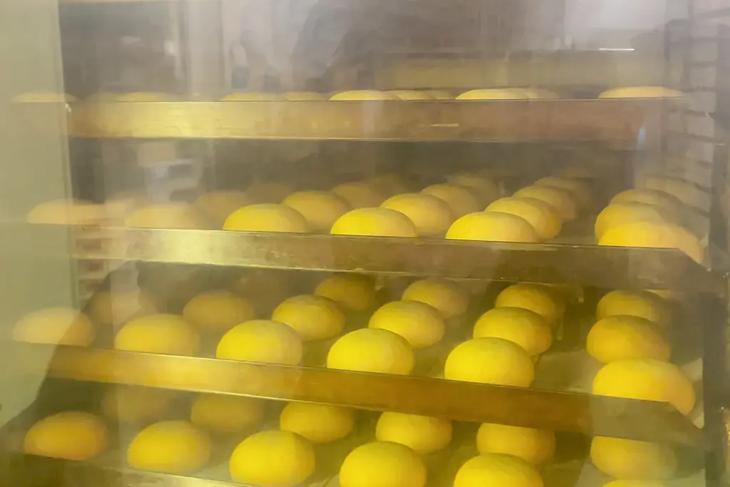【人気No.1の再来】夏スイーツのモチモチ王！“洋風もっちりチーズケーキまんじゅう” 画像 9