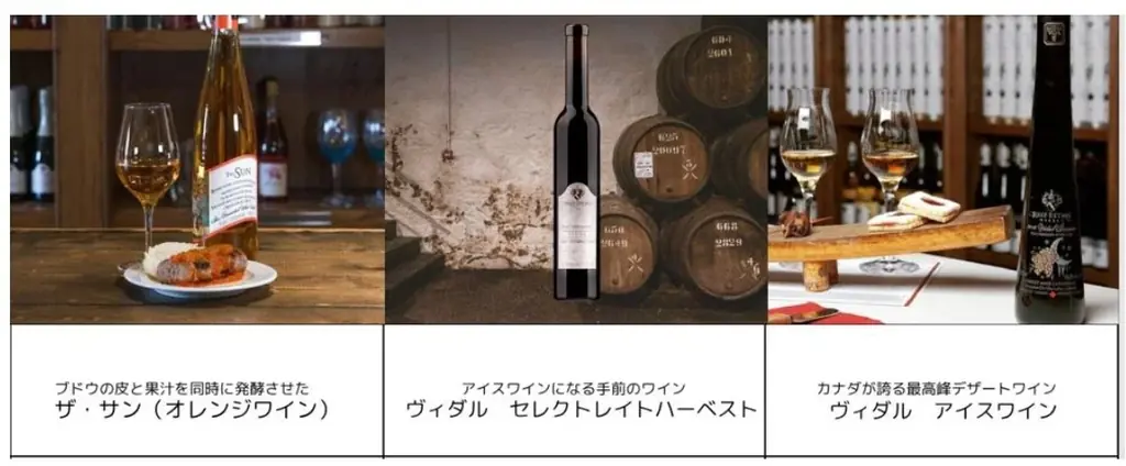 【イベントレポート】「カラダも心も喜ぶ、夏のカナダフードの恵みを体験できるイベント」大阪・関西万博 カナダパビリオンにて開催！ 画像 12