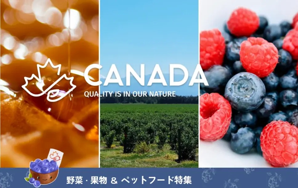 【イベントレポート】「カラダも心も喜ぶ、夏のカナダフードの恵みを体験できるイベント」大阪・関西万博 カナダパビリオンにて開催！ 画像 14