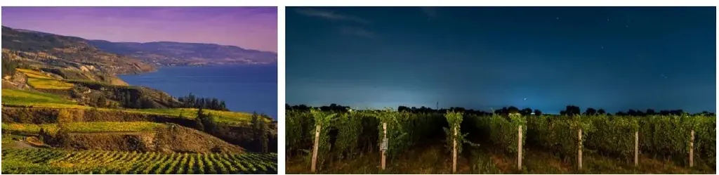 【イベントレポート】「カラダも心も喜ぶ、夏のカナダフードの恵みを体験できるイベント」大阪・関西万博 カナダパビリオンにて開催！ 画像 9