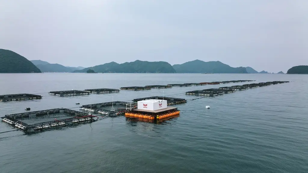 サステナブルな水産業の実現を目指す遠隔自動給餌システムの共同実証試験を開始 画像 1