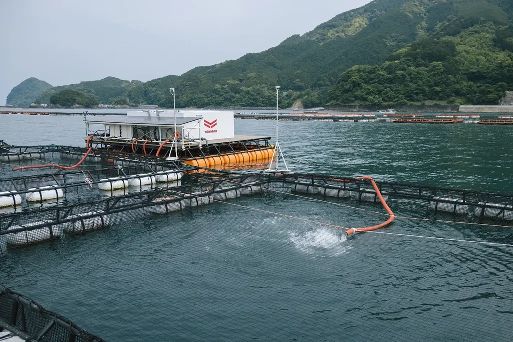 サステナブルな水産業の実現を目指す遠隔自動給餌システムの共同実証試験を開始 画像 3
