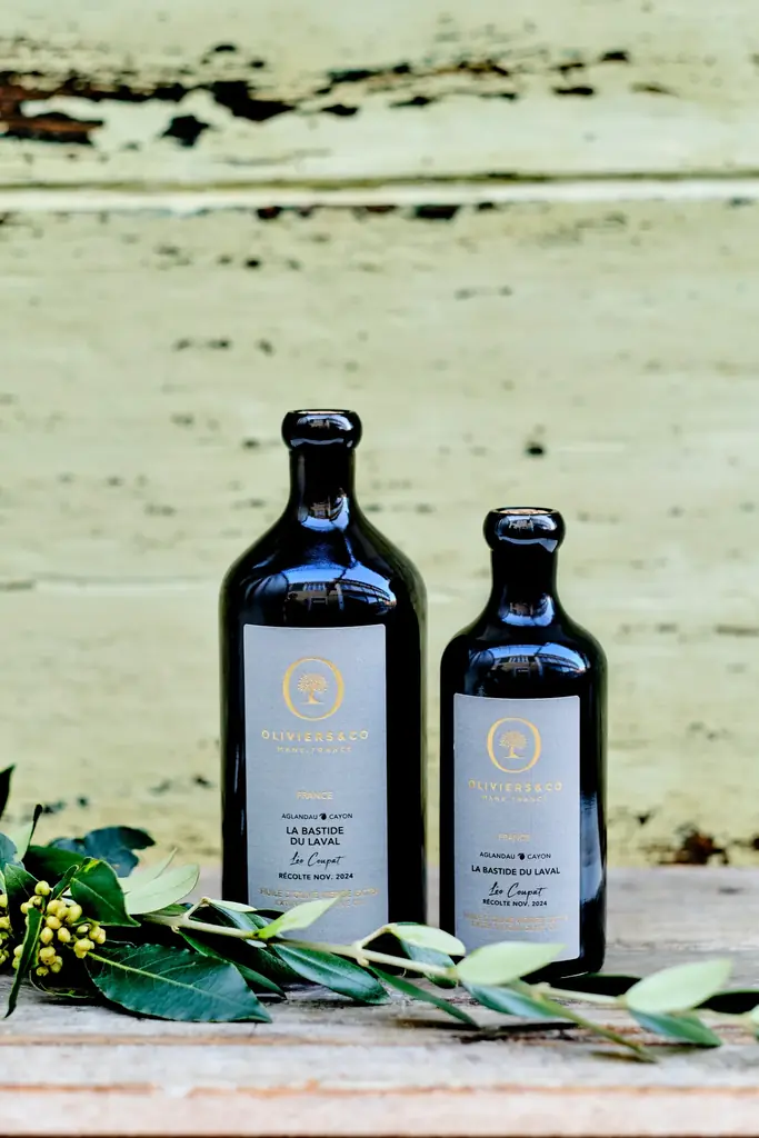 3年連続金賞受賞!OLIVE JAPAN® 2025 国際オリーブオイルコンテストにて、OLIVIERS&COのエキストラバージンオリーブオイル5品金賞獲得。 画像 2
