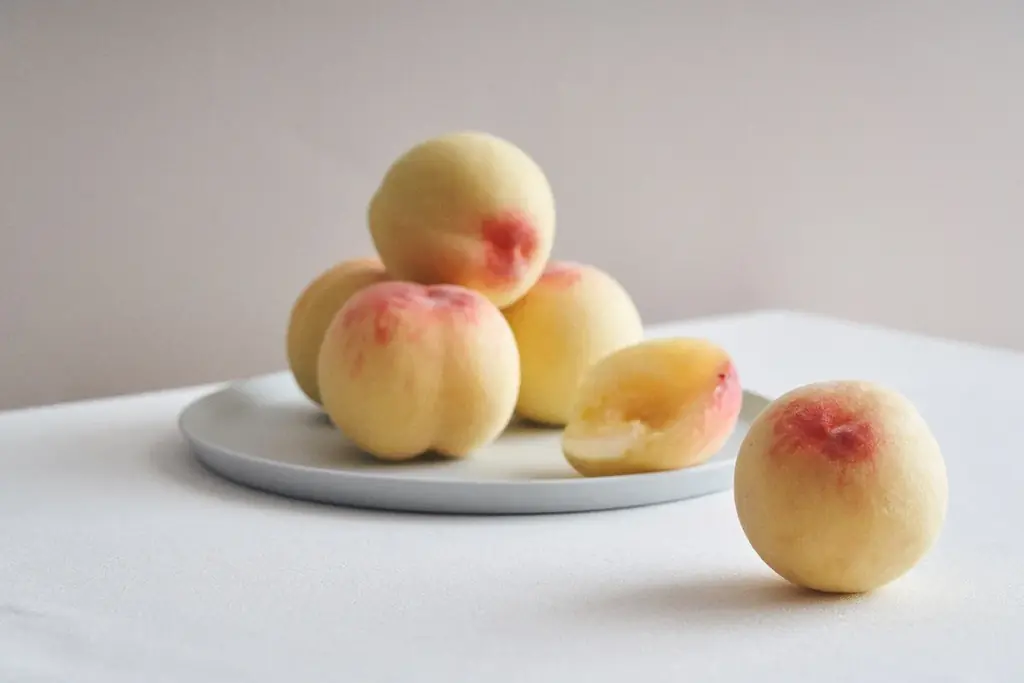 白桃のおいしさも、桃農家の想いも、まるごとデザートに。ビブリオテーク『産地直送“岡山白桃”デザートフェア』開催！ロイヤル級のまるごと岡山白桃パンケーキなど、夏カフェスイーツ新登場 画像 10