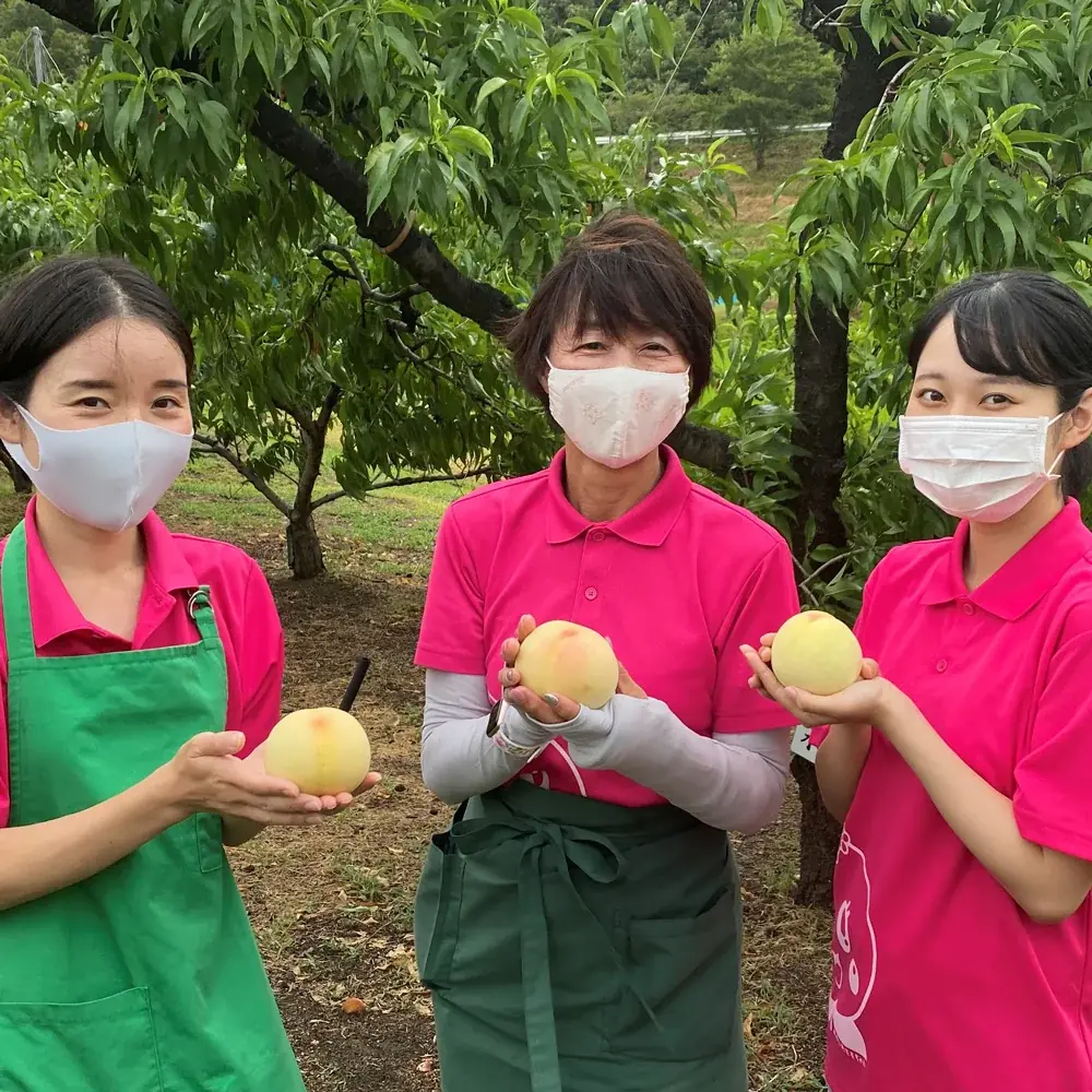 白桃のおいしさも、桃農家の想いも、まるごとデザートに。ビブリオテーク『産地直送“岡山白桃”デザートフェア』開催！ロイヤル級のまるごと岡山白桃パンケーキなど、夏カフェスイーツ新登場 画像 13
