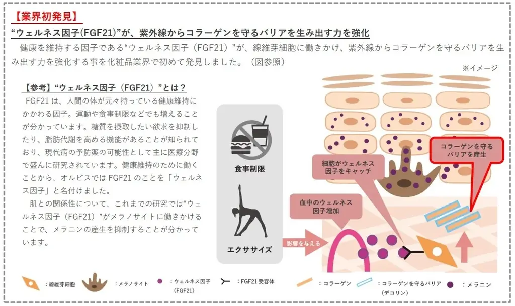 【数量限定新発売】ベストコスメ 41 冠※1を獲得した人気の日焼け止めより、ピーチピンクの色付きタイプが登場！ほんのり血色感を仕込んで、トーンアップを実現。2025年6月20日（金）数量限定新発売 画像 2