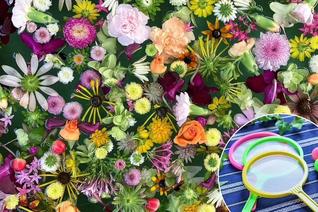 練馬区立 四季の香ローズガーデン／昨年よりもイベントエリアを拡大しスケールアップ／一夜限りの夏まつりを7月19日（土）に開催！ 画像 3