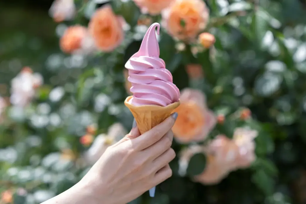 練馬区立 四季の香ローズガーデン／昨年よりもイベントエリアを拡大しスケールアップ／一夜限りの夏まつりを7月19日（土）に開催！ 画像 5