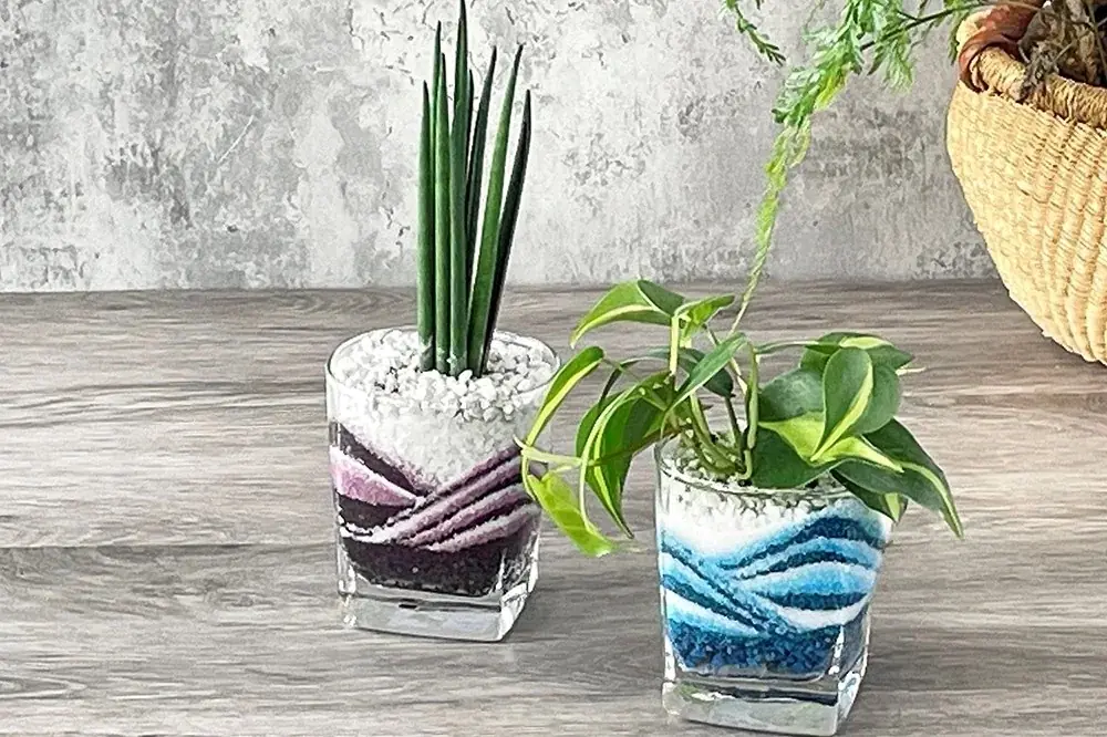 練馬区立 四季の香ローズガーデン／昨年よりもイベントエリアを拡大しスケールアップ／一夜限りの夏まつりを7月19日（土）に開催！ 画像 7