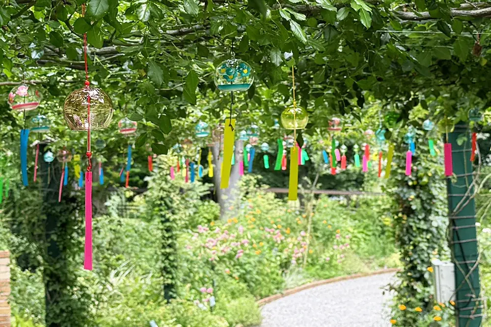 練馬区立 四季の香ローズガーデン／昨年よりもイベントエリアを拡大しスケールアップ／一夜限りの夏まつりを7月19日（土）に開催！ 画像 8