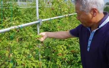 新潟には「お米・お酒だけじゃない！」食の魅力がたくさんあります！牛、豚、海の幸、豊かな水と肥えた土で丁寧に育てられた越後野菜、そしてフルーツ。夏フルーツフェアではフルーツの魅力を思う存分味わえます！ 画像 16