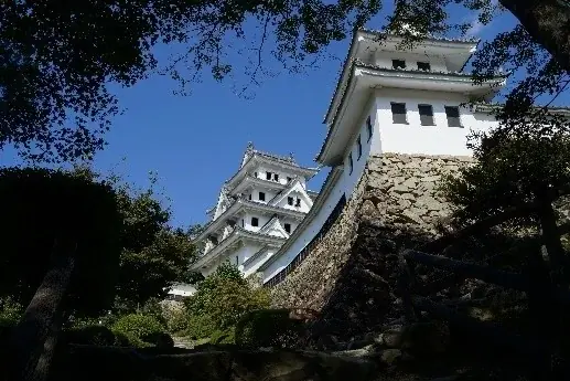 『新幹線貸切車両で行く！日本三大盆おどりの一つ「郡上おどり」と郡上八幡に酔いしれる2日間』販売中！ 画像 4