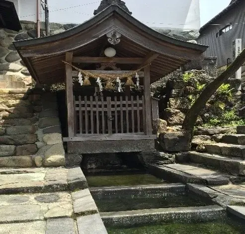 『新幹線貸切車両で行く！日本三大盆おどりの一つ「郡上おどり」と郡上八幡に酔いしれる2日間』販売中！ 画像 5