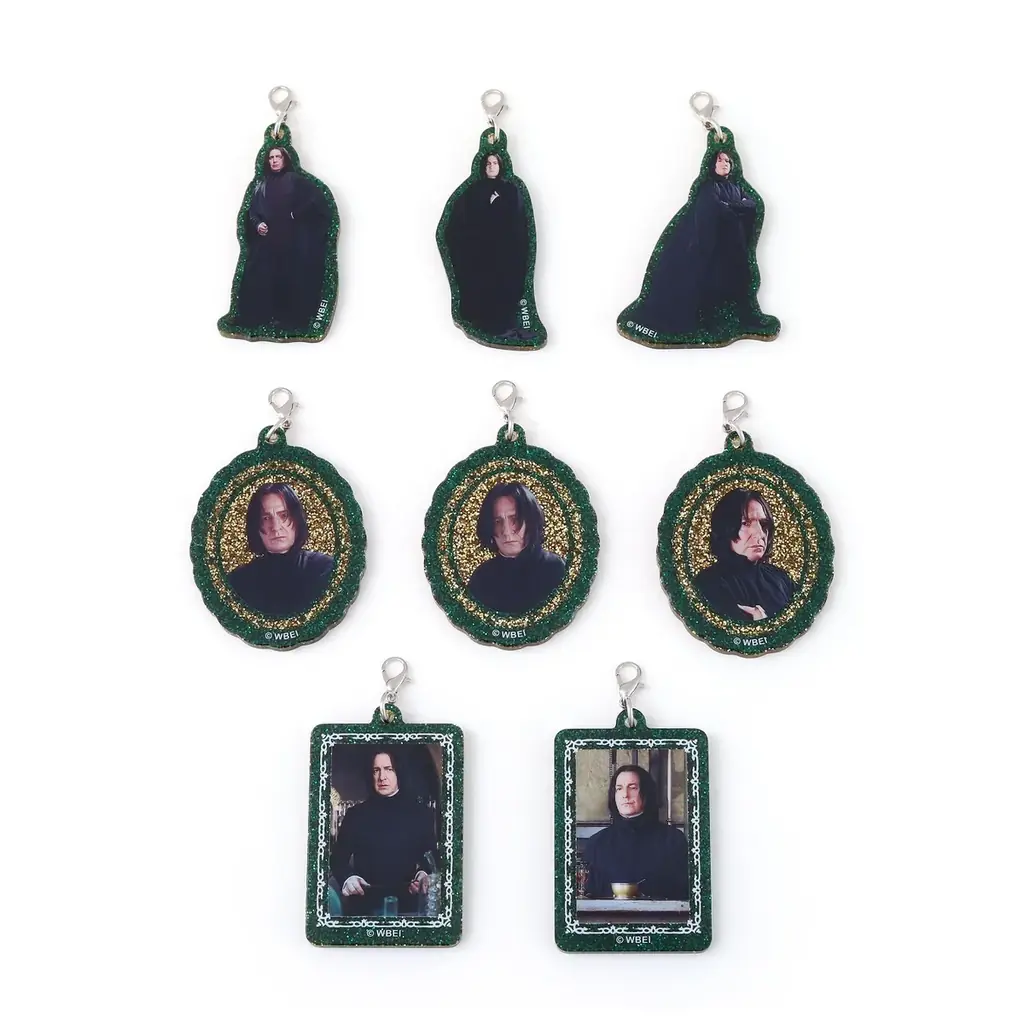 『Harry Potter』より新商品のグッズが登場！特典ポストカードがもらえるフェアが今年も全国アニメイトにて開催！ 画像 2