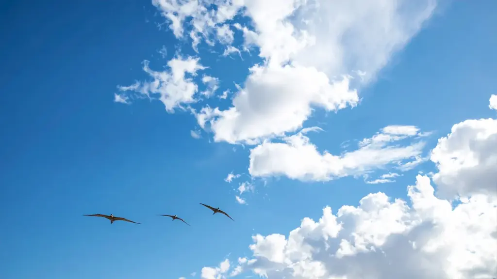 【エステー】福井県との包括連携協定締結に基づく「恐竜時代のかおり」を発表 画像 5