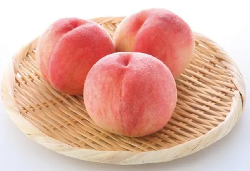 アルデ新大阪「アルデひろば」期間限定ショップのお知らせ 画像 3