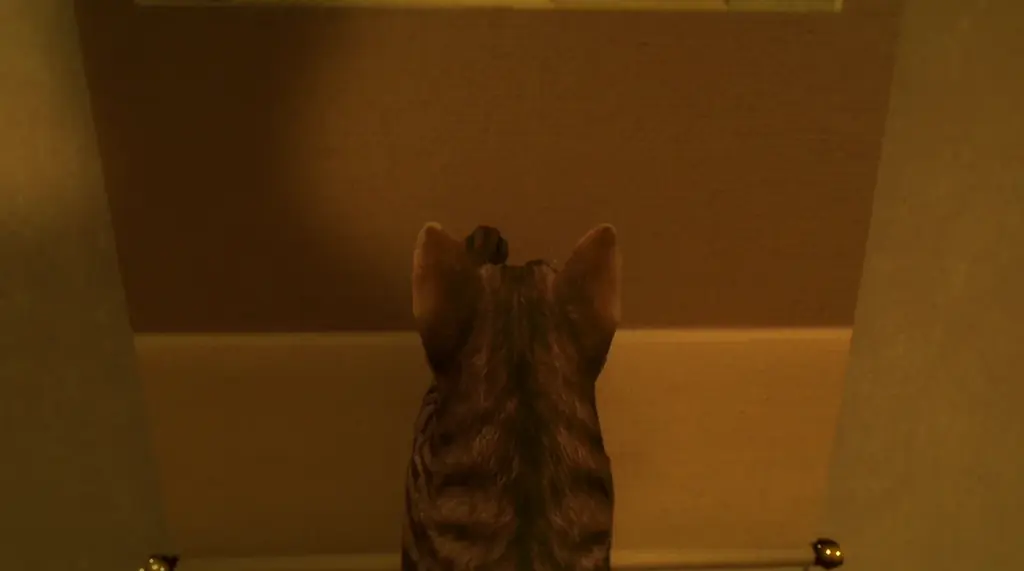 『近畿地方のある場所について』背筋氏完全新作シナリオによるSteamゲームを発表『まだ猫は逃げますか？』ストアページ公開 画像 4