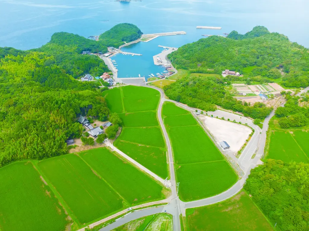 大好評につき「継ぐ米」先行予約が完売、キャンセル待ち枠を開放 画像 1