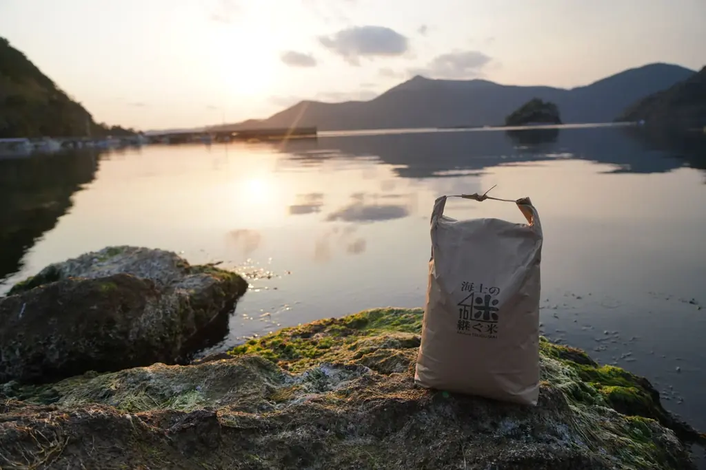 大好評につき「継ぐ米」先行予約が完売、キャンセル待ち枠を開放 画像 2