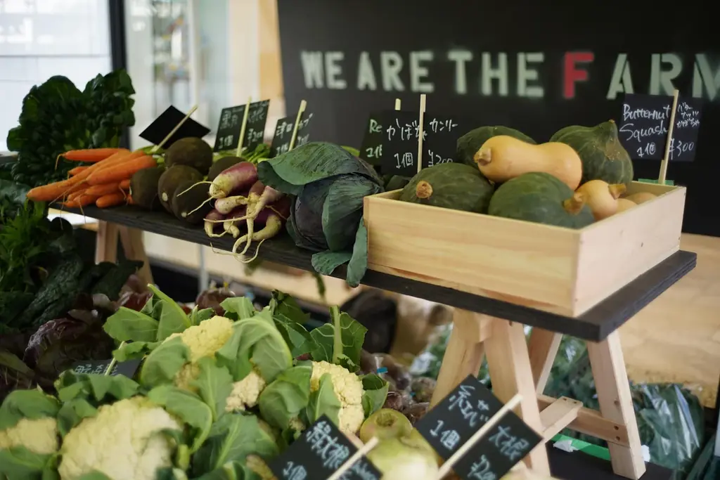 横浜七夕祭り2025　周辺施設のご案内　【第三弾リリース】 画像 6