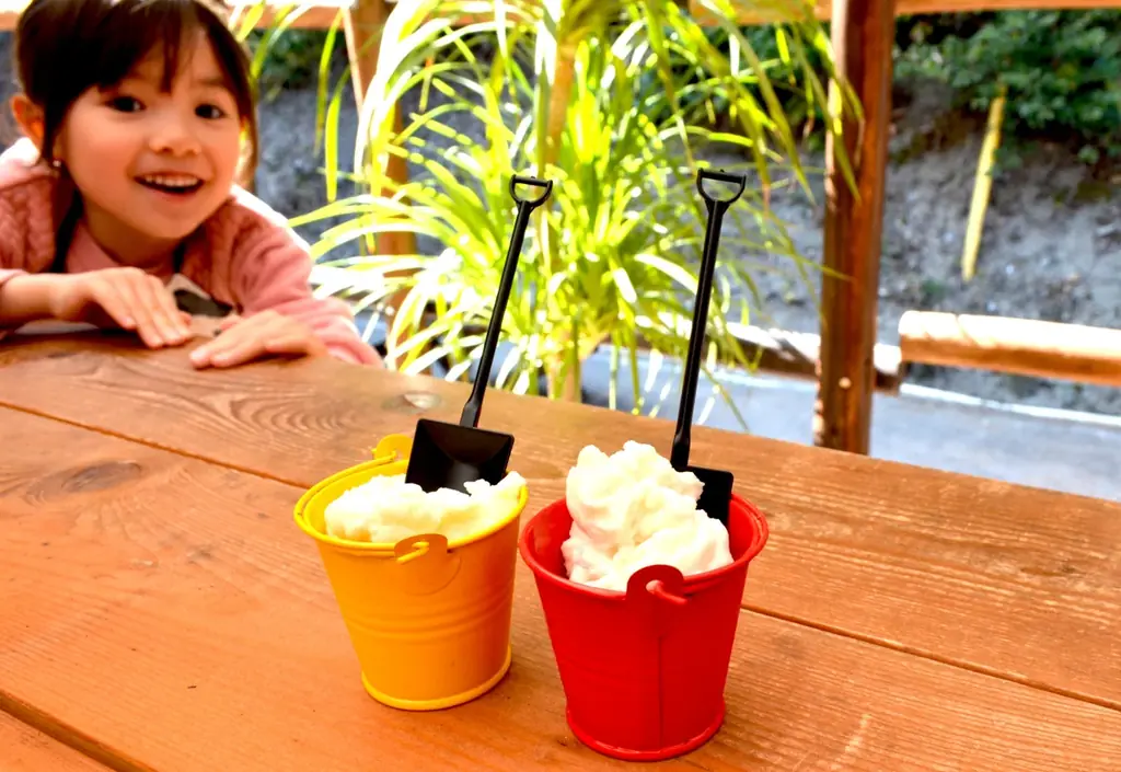 『大内山酪農 × ストーンハンター伊勢志摩』夏休み限定！アイスクリーム作り体験 画像 4