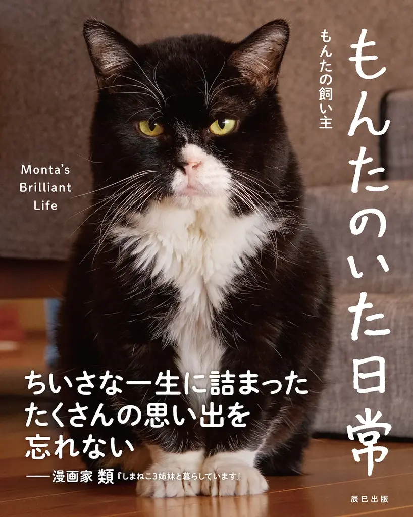 6月23日発売！人気猫もんたの感動フォトブック『もんたのいた日常』