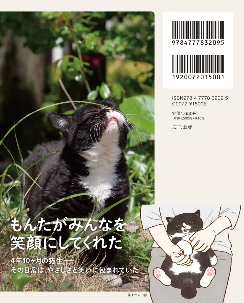 4年10ヶ月の一生を駆け抜けた「猫小人症」の猫　やさしさと笑いに包まれた日々がフォトブックに 画像 8