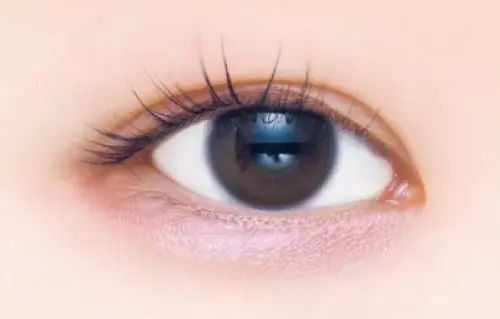 【キャンメイク】うるんと透明つや肌仕上げの「フィットグロウクッション」からピンク系新色が登場！大人気涙袋用アイシャドウ「プランぷくコーデアイズ」の新色も2025年6月下旬より発売 画像 9