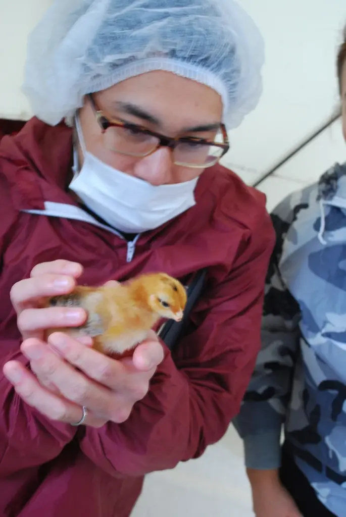 日本最大級の地鶏「天草大王」と浅草開化楼の麺が出会った！あるようでなかった“親子丼の進化形”が誕生！唯一無二の「親子丼×麺」中目黒の炭火焼MARUよりランチ限定新登場！ 画像 2