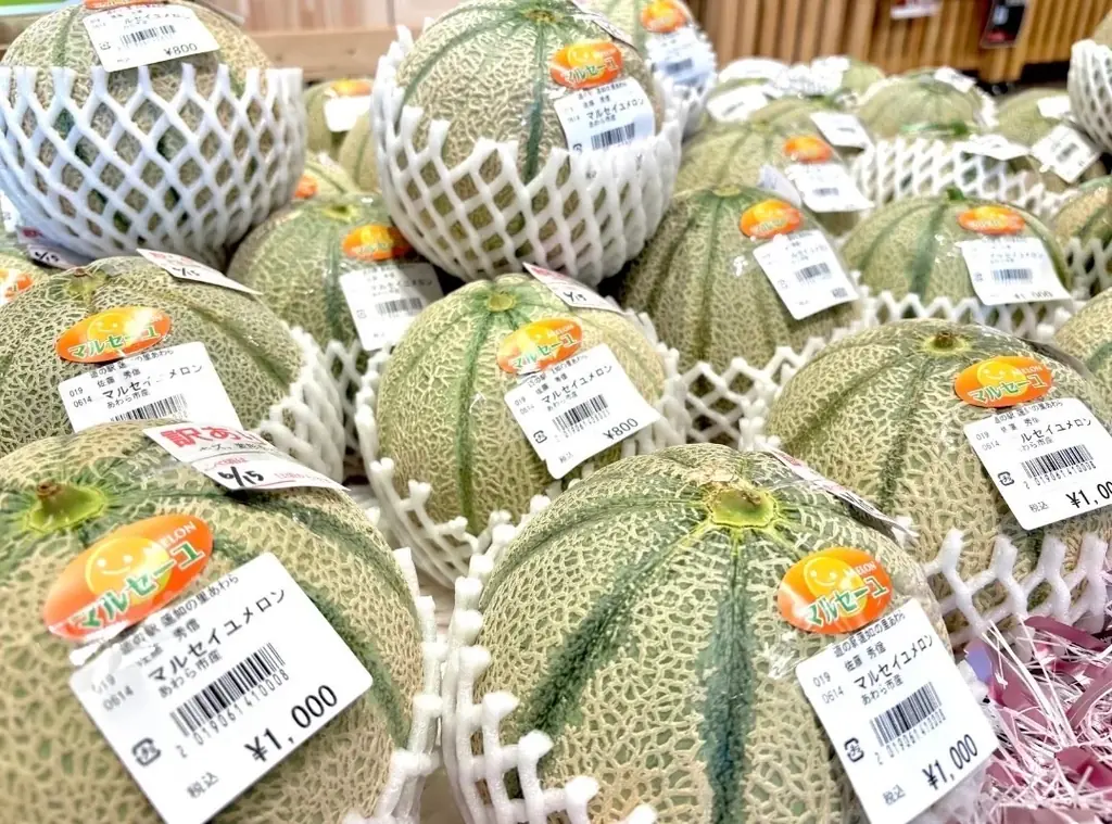 あわら市メロンフェア