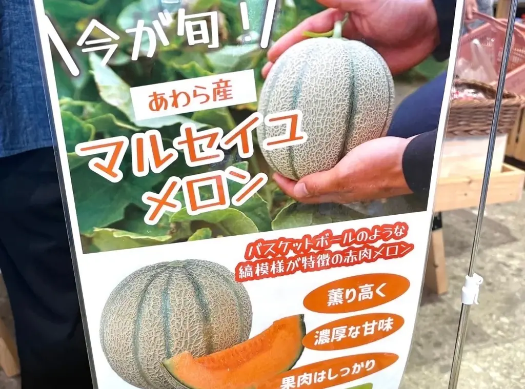 今年もやってきた!「メロンフェア」開催中! 画像 3