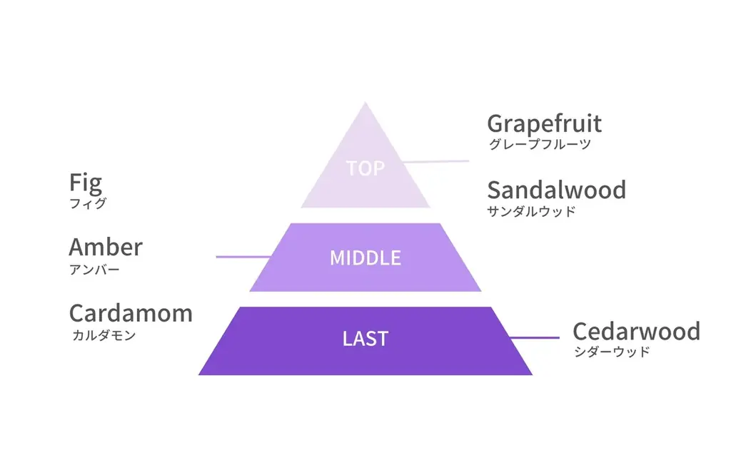 満天の“星空”をテーマにした限定コレクション「Celestial(セレスティアル)」が2025年6月27日(金)より新発売 画像 3