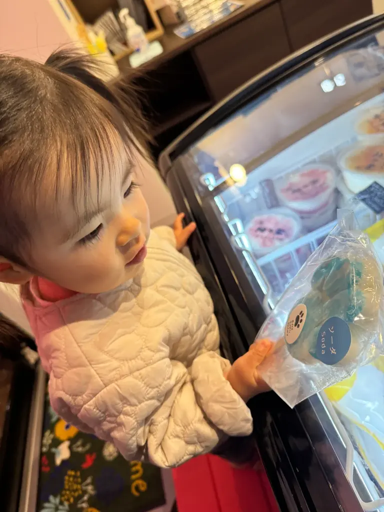 FROSTYBOX24/7加盟募集開始