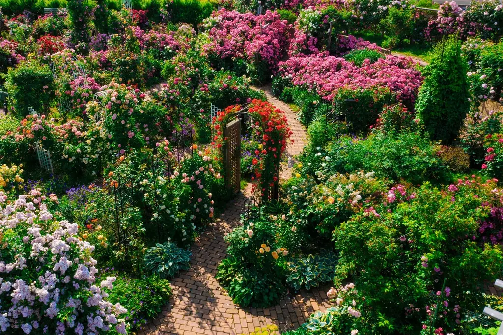 【ロイズ】＜3店舗限定＞ローズガーデンのロゴをデザインした「ランチトートバッグ」プレゼントキャンペーンを6月27日より開催。 画像 5