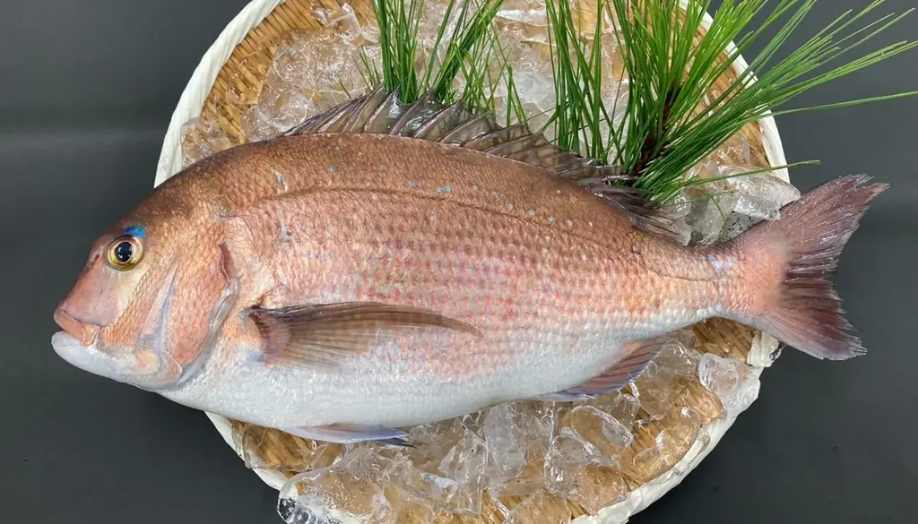 アセロラ真鯛販売開始