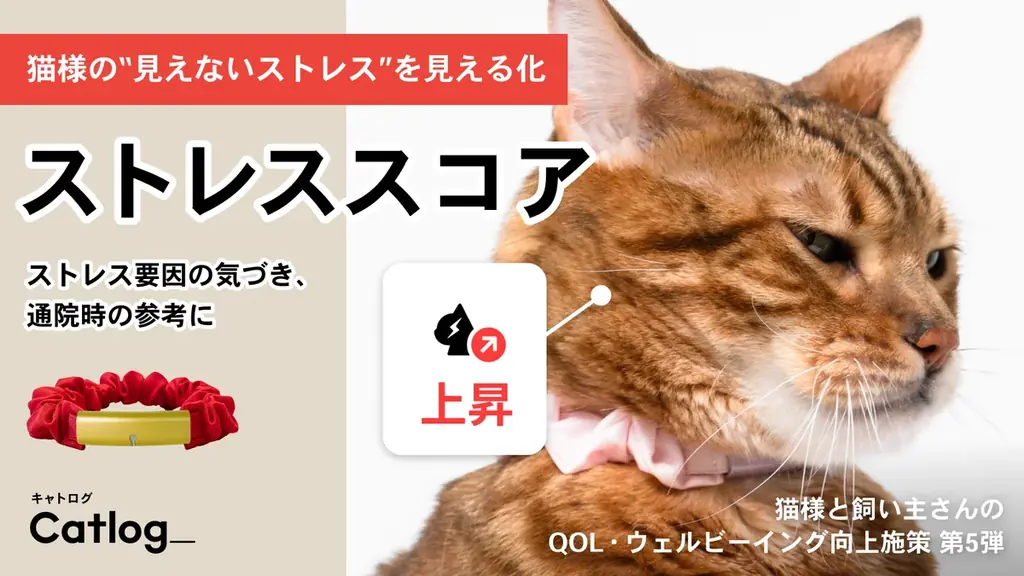 猫様の“見えないストレス”を見える化するストレススコア機能がスマート猫首輪Catlog®（キャトログ）へ追加！ 画像 1