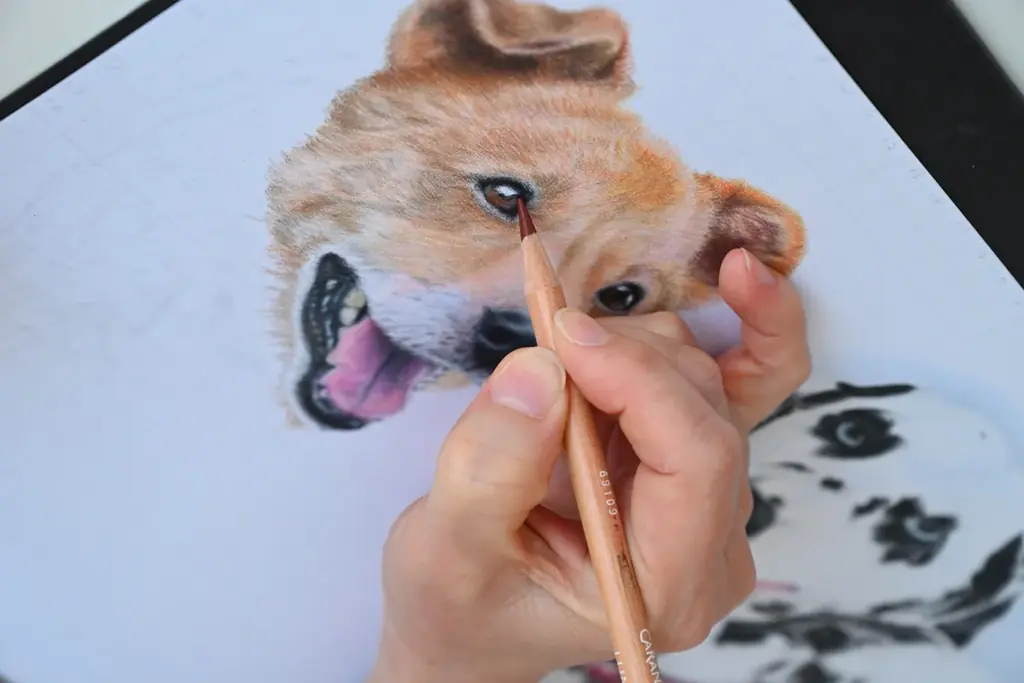 「学びが人生を変える」――想いや感性に寄り添う“ニッチなオンライン講座”累計受講者5万人を突破 画像 2