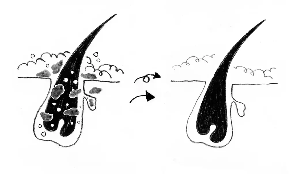 『金曜日のシャンプー』誕生。天然由来成分95％、10000ppmの濃密炭酸泡で、“やさしく・しっかり” 洗いあげる週末のご褒美ケア。 画像 4