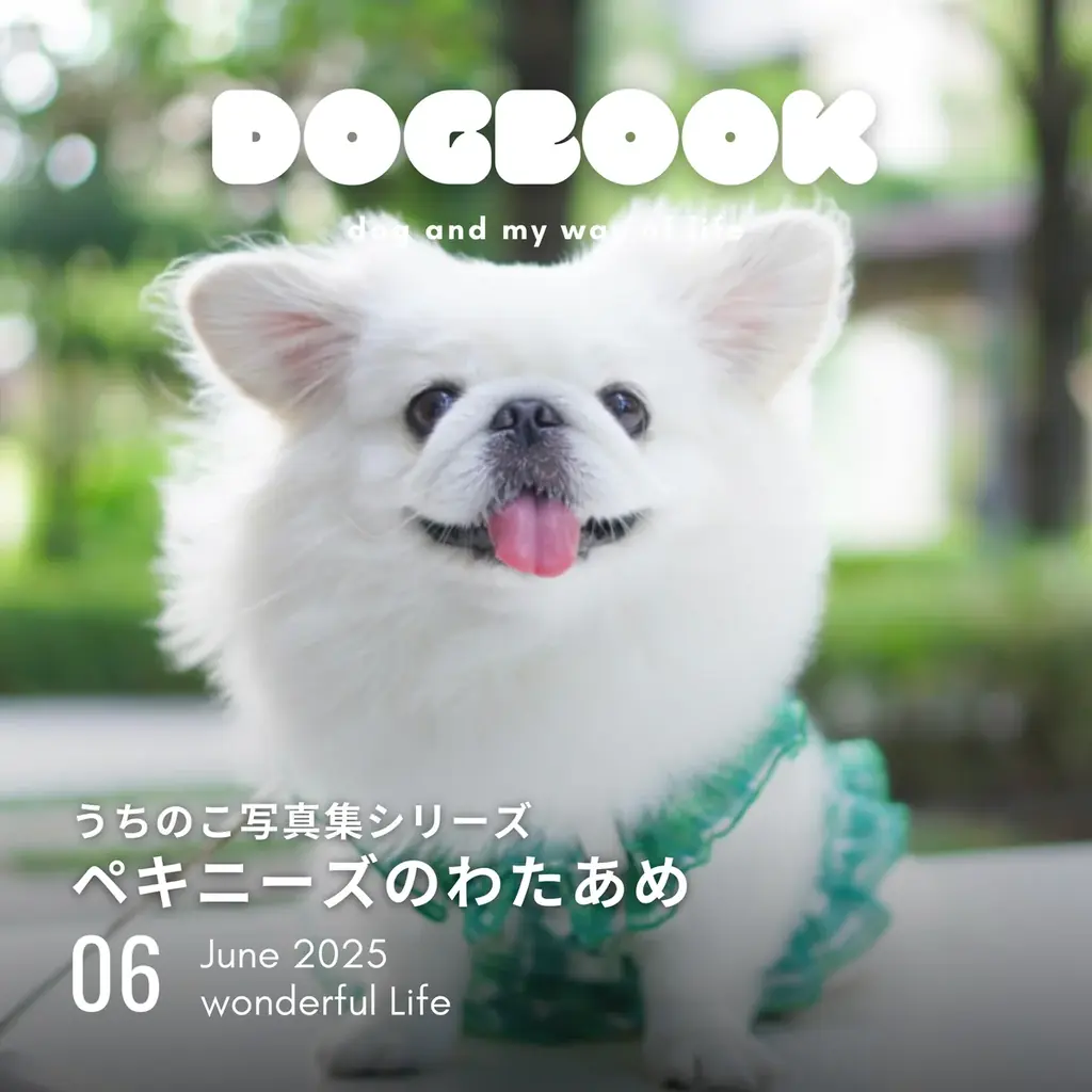2025年6月17日発売『ペキニーズのわたあめ』写真集の魅力