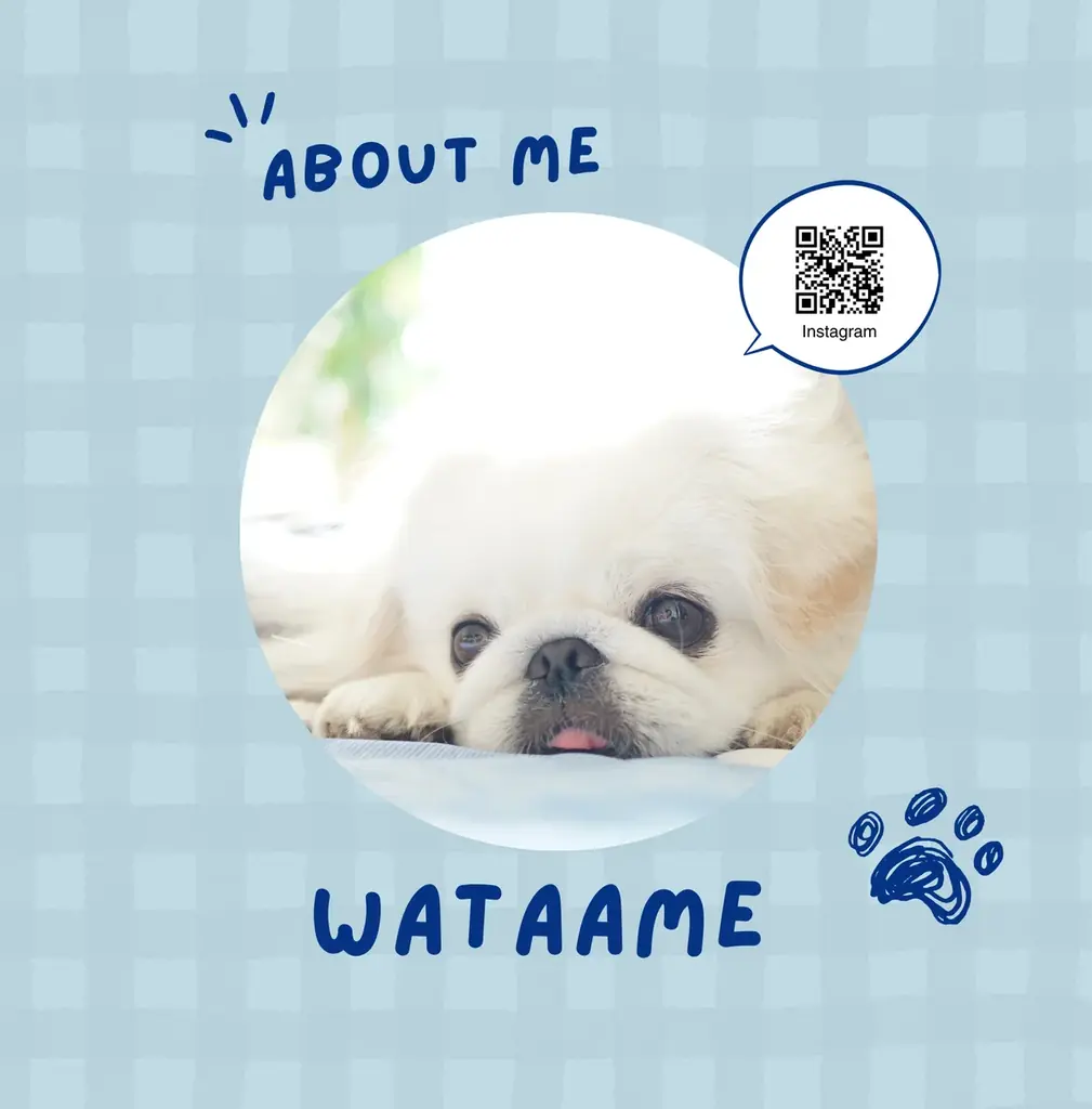うちの愛犬の写真集が出版できる!「うちのこ写真集」シリーズ第4弾『ペキニーズのわたあめ』が発売決定! 画像 2