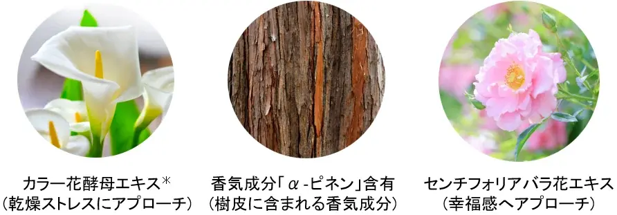 7/1(火)　数量限定発売　夏の不快感もリフレッシュ！ジャスミン香る「フェイシャリスト トリートメントブライトマセ アロマ」 画像 2