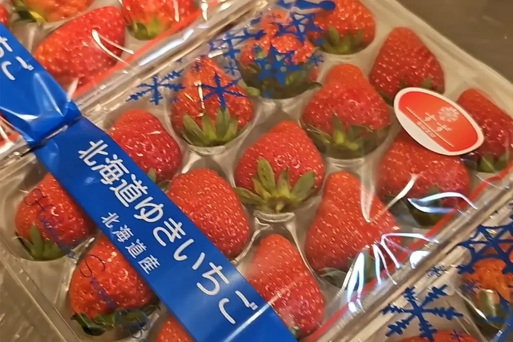 【第一滝本館】北海道でときめくパフェ体験、新登場の「シマエナガ×北海道夏いちごパフェ」を味わおう！今なら、登別温泉街を巡る無料「オニスロ」も運行中です。 画像 2