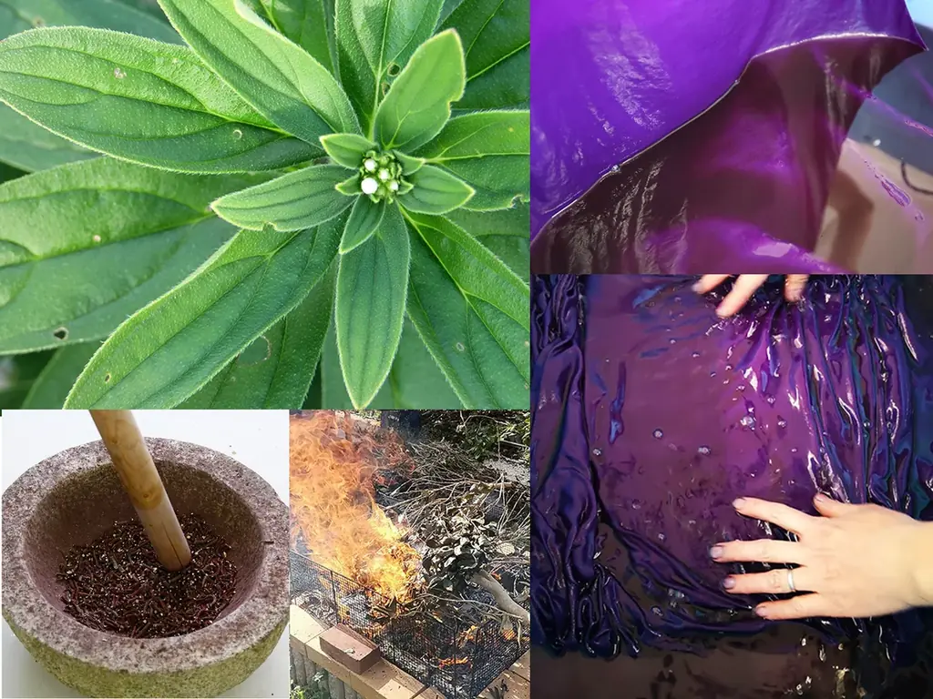 大阪・関西万博会場 EXPO メッセ「WASSE」にて開催！2025.7.2(水)-7.6(日) 第３回日本国際芸術祭/大阪・関西万博展 セミナー会場イベントのご案内 画像 7