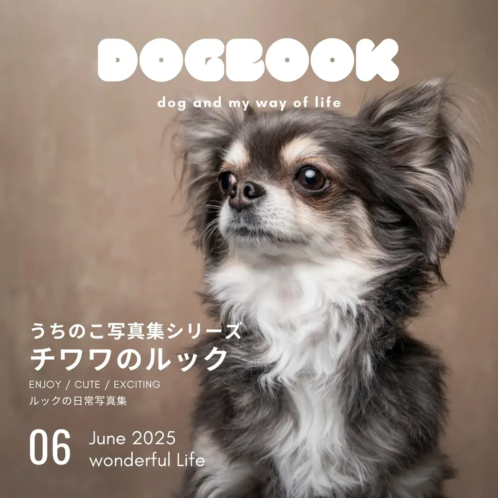 2025年6月18日発売『チワワのルック』写真集の魅力を紹介