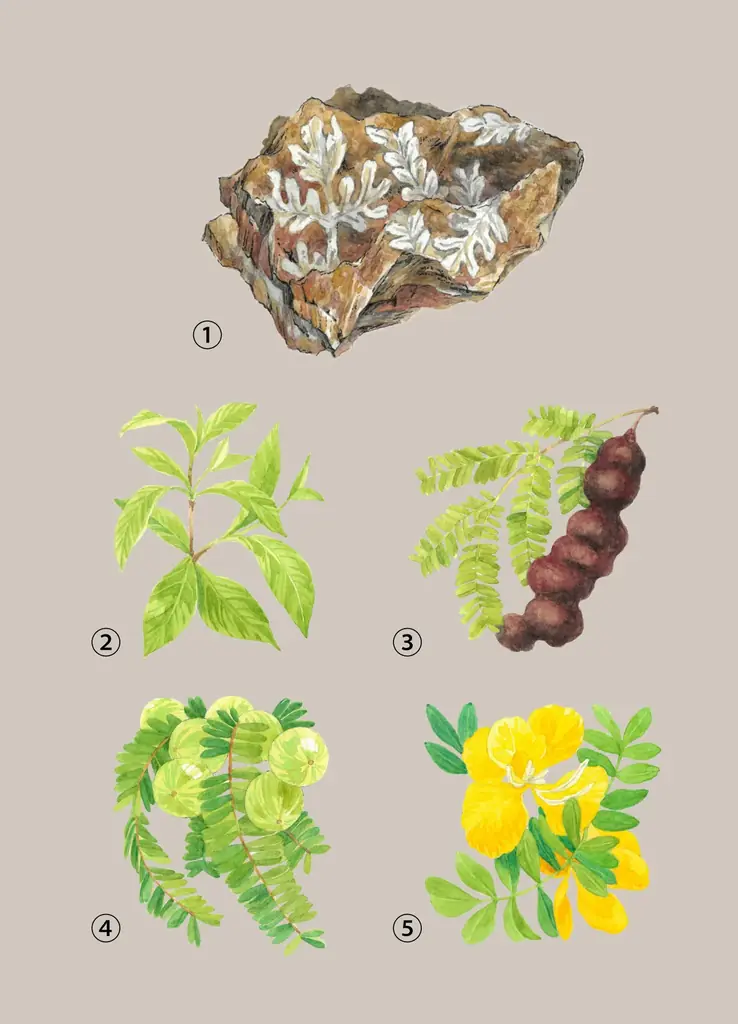 【NATURALCOSMO × YI(yamaichi)】山口一郎(サカナクション/yamaichi)コラボレーション。「風流トリートメントシャンプー」をYI仕様パッケージにて数量限定発売！ 画像 12