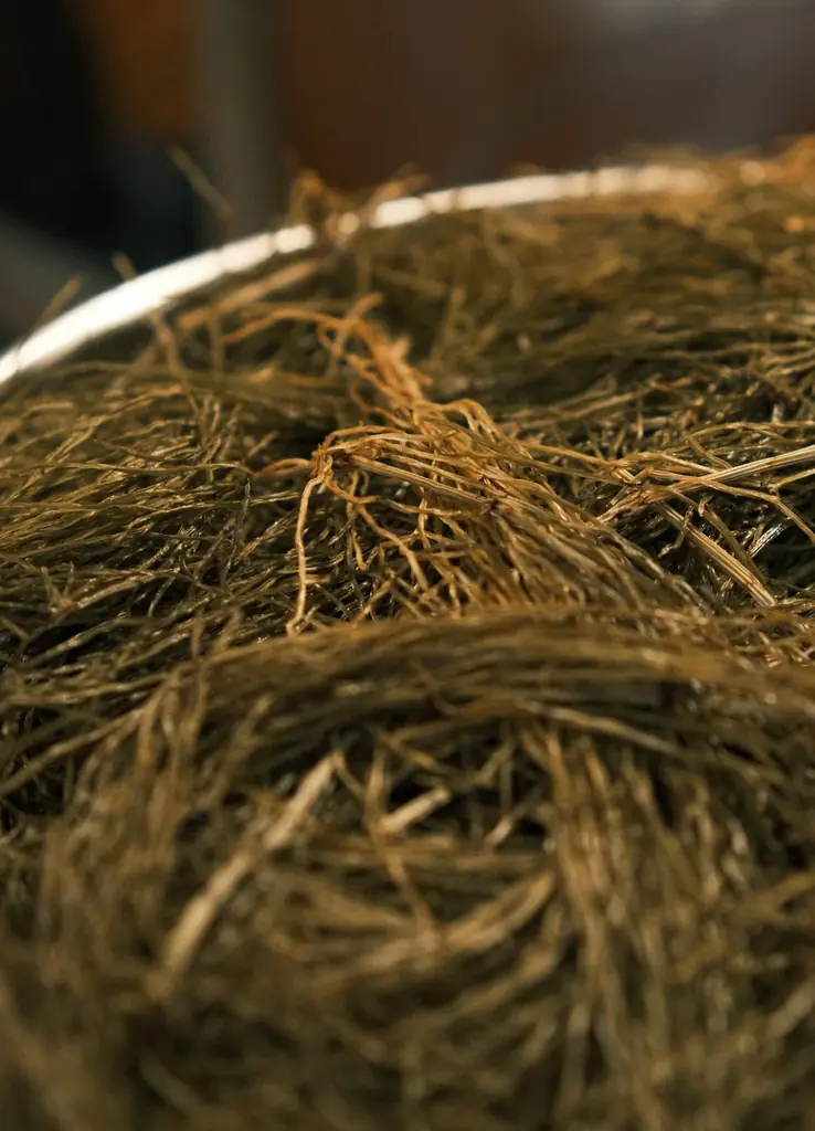 【NATURALCOSMO × YI(yamaichi)】山口一郎(サカナクション/yamaichi)コラボレーション。「風流トリートメントシャンプー」をYI仕様パッケージにて数量限定発売！ 画像 15