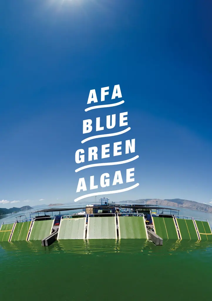 【NATURALCOSMO × YI(yamaichi)】山口一郎(サカナクション/yamaichi)コラボレーション。「風流トリートメントシャンプー」をYI仕様パッケージにて数量限定発売！ 画像 9