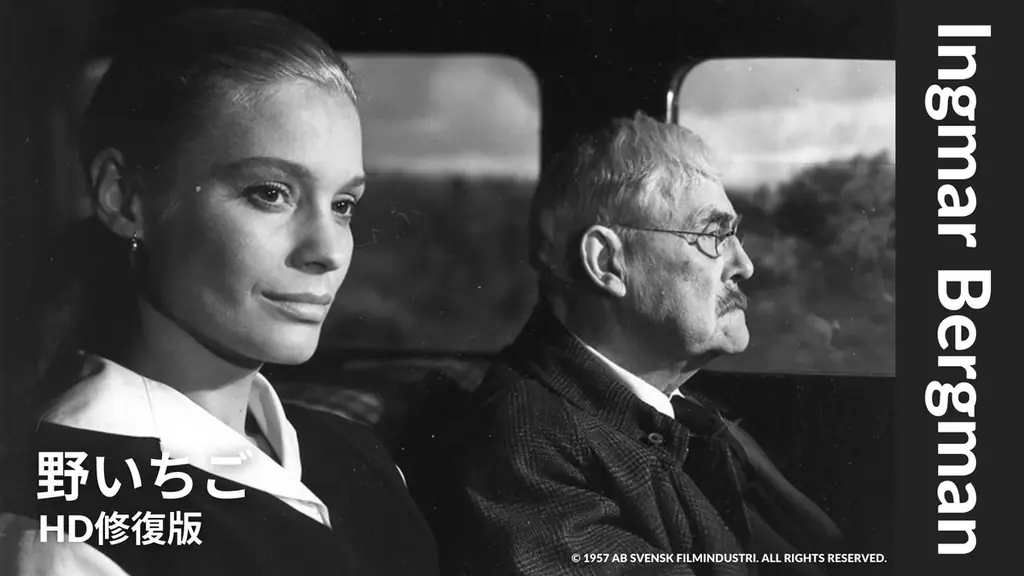 世界で最も重要な映画監督のひとりとして魂の深淵を見つめ続けたスウェーデンの巨匠【イングマール・ベルイマン特集】 画像 3